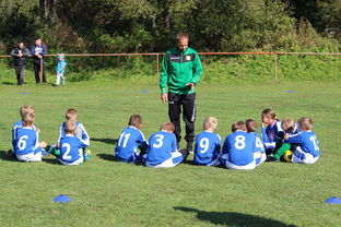 星空入口官网-替补席能否发挥稳定战术执行能力影响赛季后期，替补席是什么意思